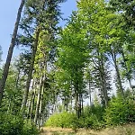 Guest house Stylove Kocierz Rychwaldzki