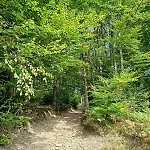 Stylove Kocierz Rychwaldzki