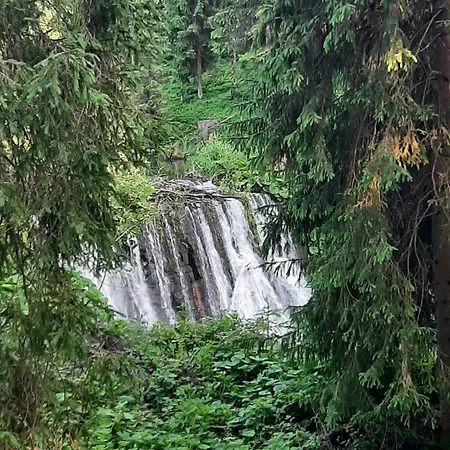 Stylove Kocierz Rychwaldzki