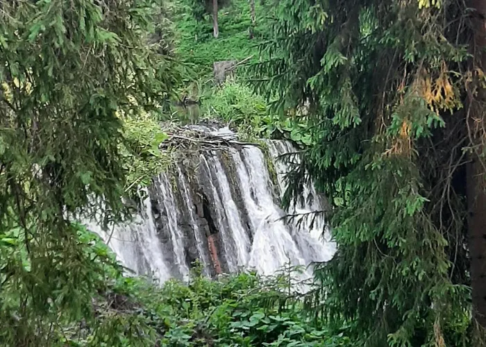 Stylove Kocierz Rychwaldzki