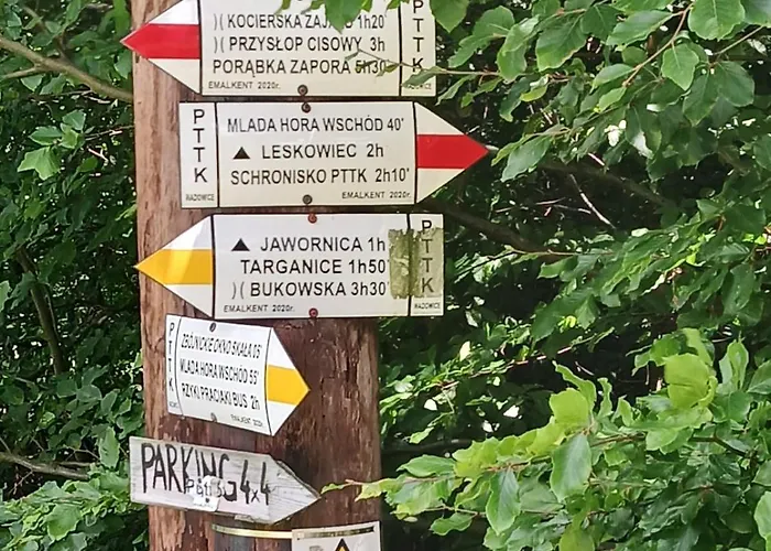 Stylove Kocierz Rychwaldzki