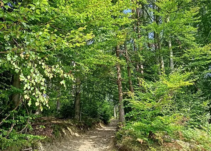 Stylove Kocierz Rychwaldzki